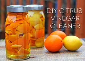 DIY Citrus Vinegar Cleaner