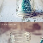 Inspired Snow Globes Tutorial
