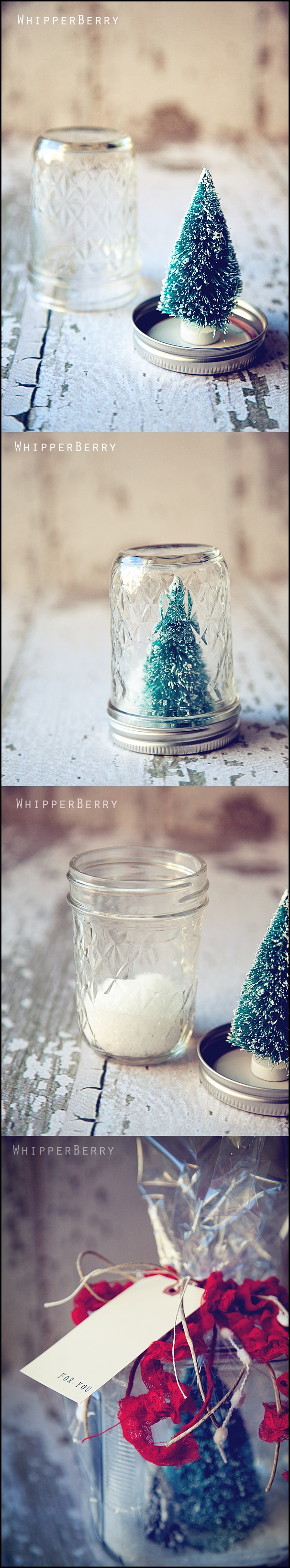 Inspired Snow Globes Tutorial