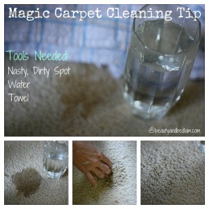 Magic Carpet Cleaner