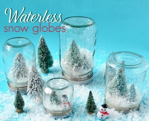 Waterless Snow Globes
